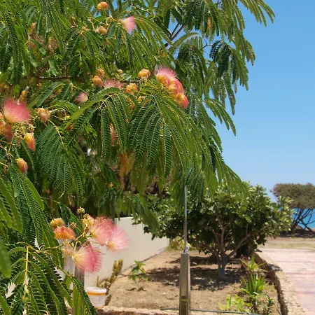 Case de vacanță Aegean *